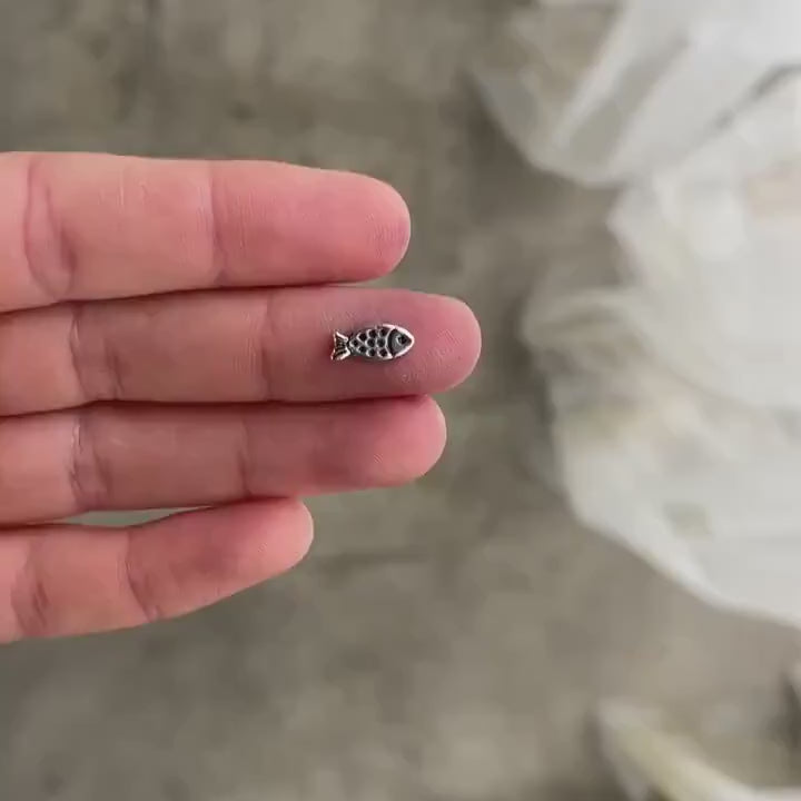 silver fish casting
