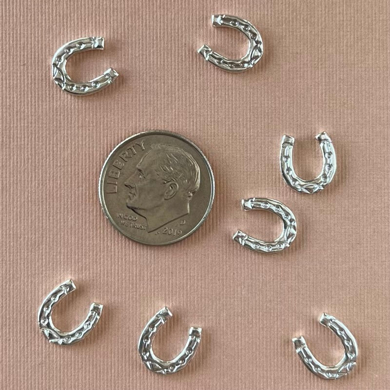 silver horseshoe embellishment