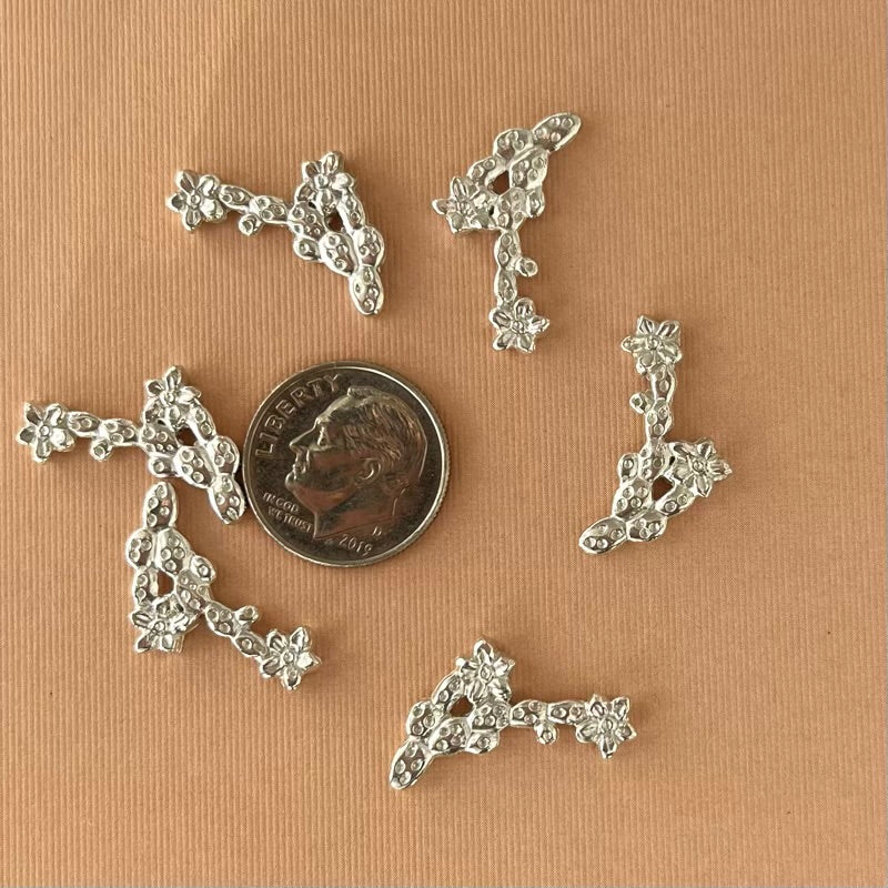 silver flowering prickley pear casting