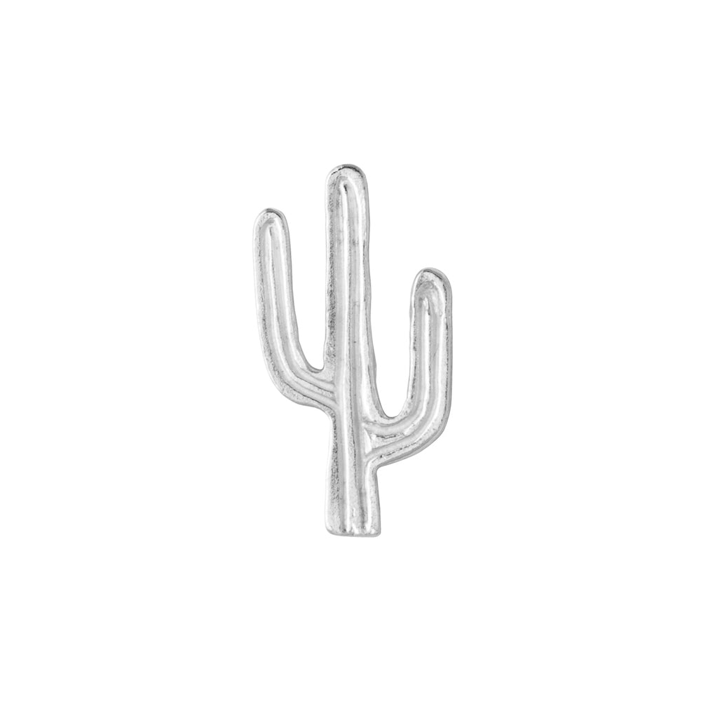 silver saguaro casting
